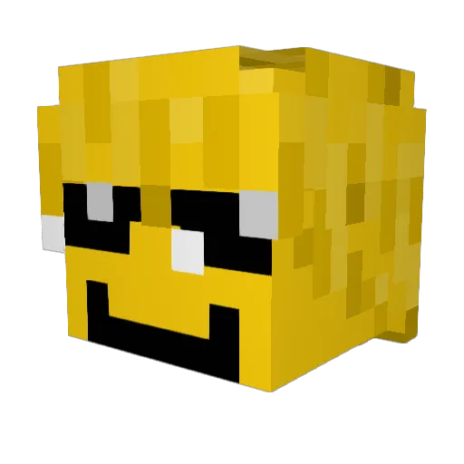 DJG_NutMaster69 Minecraft avatar head, 3D render