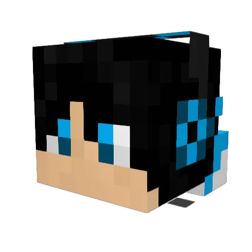 DJGamer141 Minecraft avatar head, 3D render