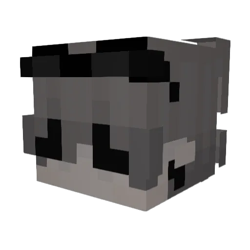 DJKINGXx444 Minecraft avatar head, 3D render