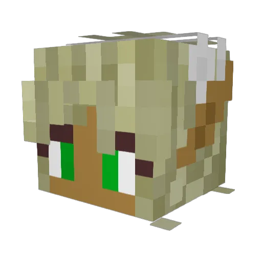 DJM2010 Minecraft avatar head, 3D render