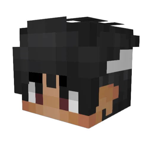 DJNap Minecraft avatar head, 3D render