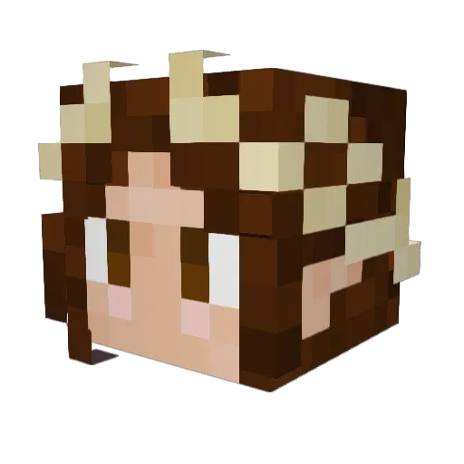 DJRomme Minecraft avatar head, 3D render