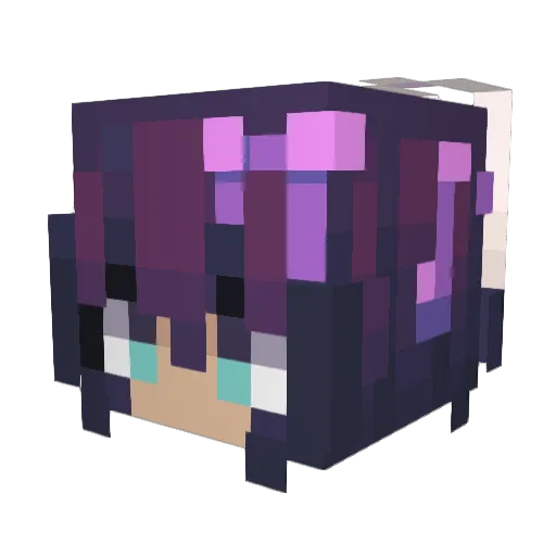 DJSH4RPNEL Minecraft avatar head, 3D render