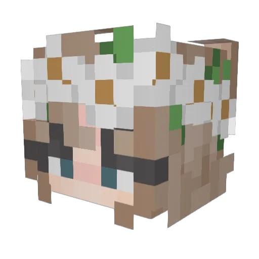 DJSMALLS Minecraft avatar head, 3D render
