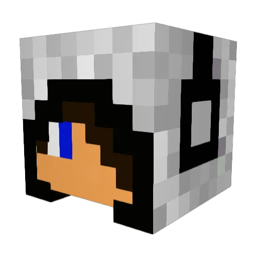 DJSUSG Minecraft avatar head, 3D render