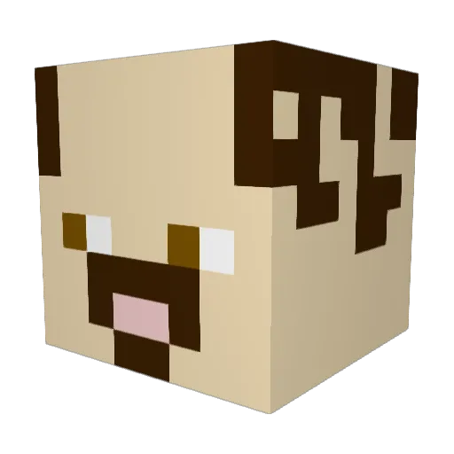 DJSkinnyP Minecraft avatar head, 3D render