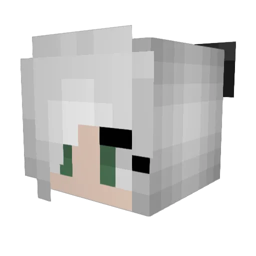DJStopa Minecraft avatar head, 3D render