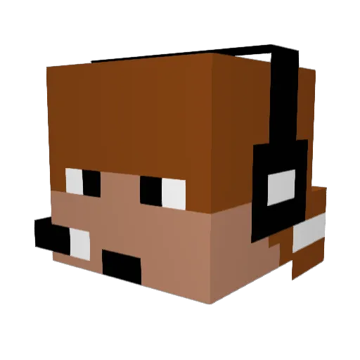 DJTaco17 Minecraft avatar head, 3D render