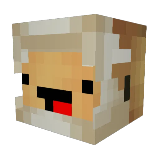 DJTastysStepSon Minecraft avatar head, 3D render