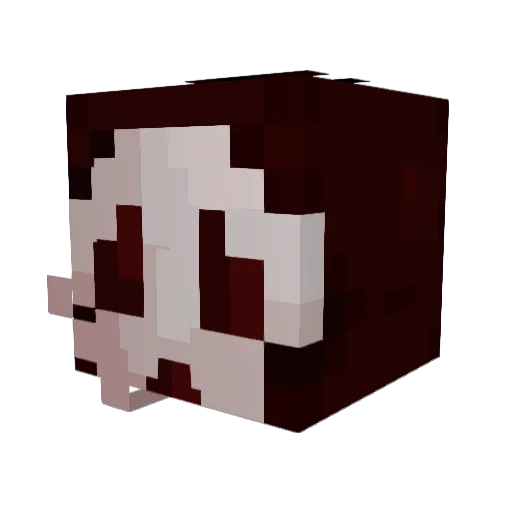 DJV0 Minecraft avatar head, 3D render