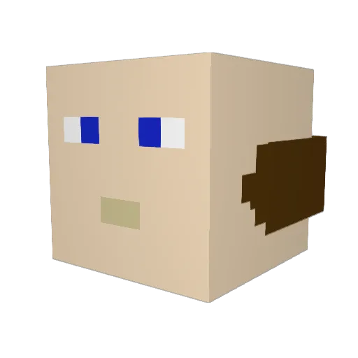 DJWESLEYY Minecraft avatar head, 3D render