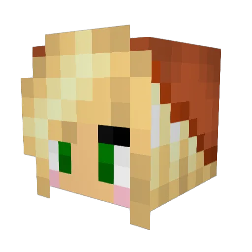 DJ_AC1D Minecraft avatar head, 3D render