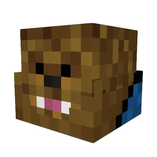 DJ_D2 Minecraft avatar head, 3D render