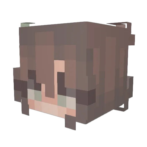 DJ_Diamond109 Minecraft avatar head, 3D render