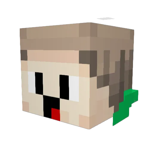 DJ_Dragon11 Minecraft avatar head, 3D render