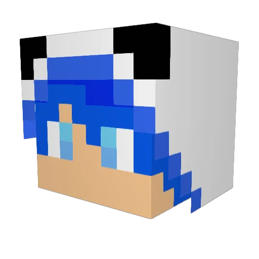 DJ_FiBeRz Minecraft avatar head, 3D render