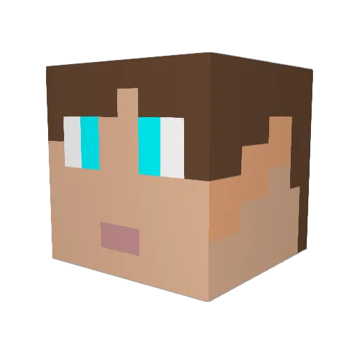 DJ_James0804 Minecraft avatar head, 3D render