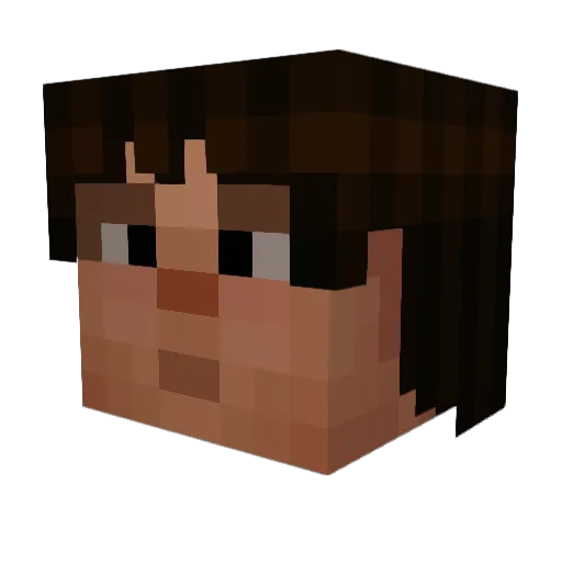 DJ_Mcnugget Minecraft avatar head, 3D render