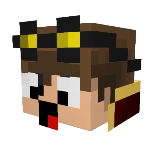 DJ_Panda123 Minecraft avatar head, 3D render
