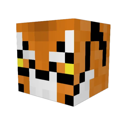 DJ__Tiger Minecraft avatar head, 3D render