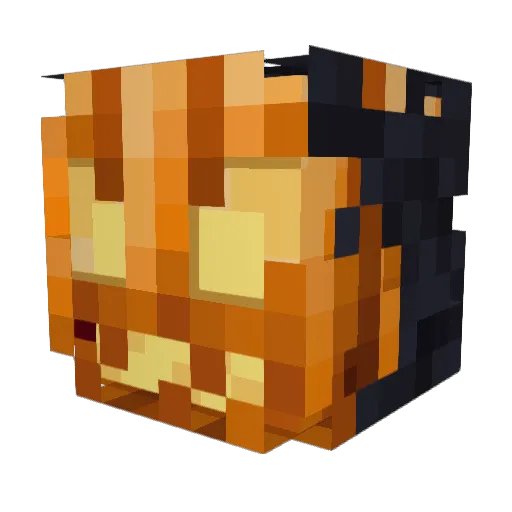 DJ_pickle_20 Minecraft avatar head, 3D render