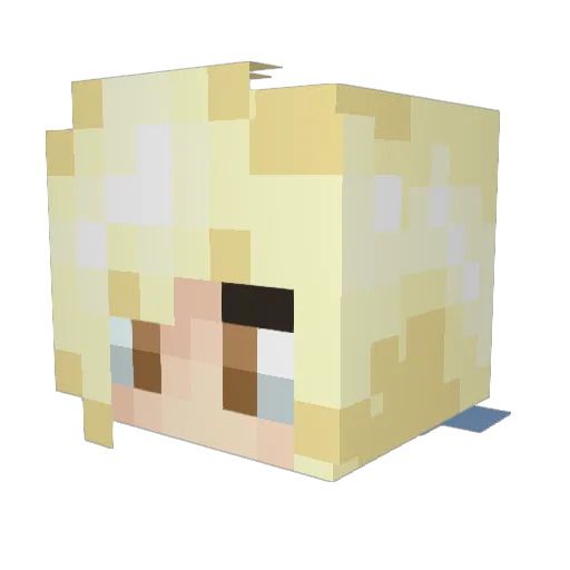 DJenerate25 Minecraft avatar head, 3D render