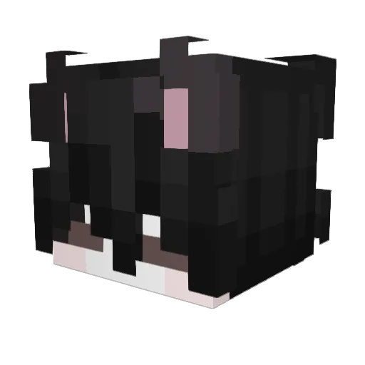 DJgamer1776 Minecraft avatar head, 3D render