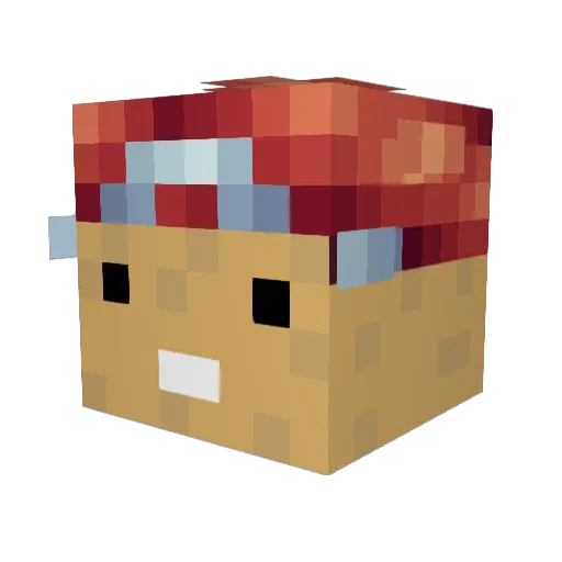 DJiTubz Minecraft avatar head, 3D render
