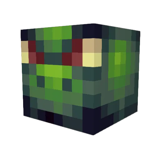 DJilaniE070 Minecraft avatar head, 3D render