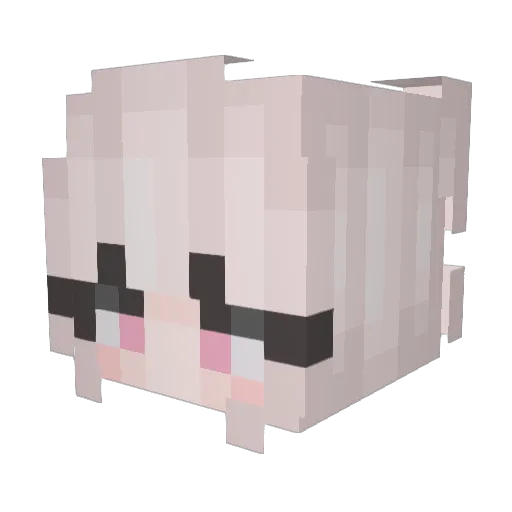 DJkhaled360 Minecraft avatar head, 3D render