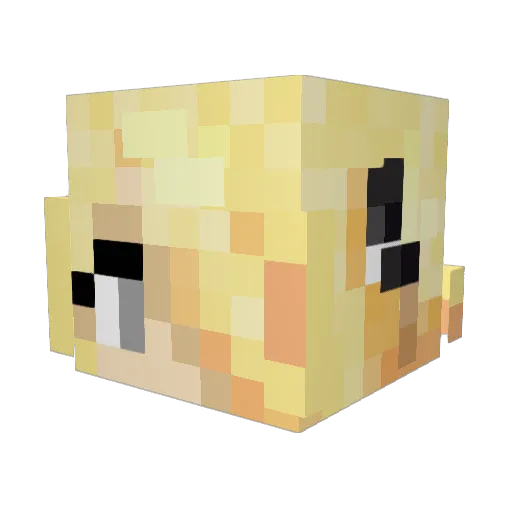 DJnicolass Minecraft avatar head, 3D render