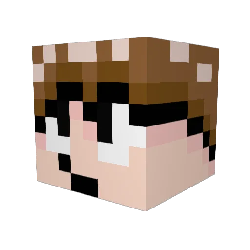 DJparallelogram Minecraft avatar head, 3D render