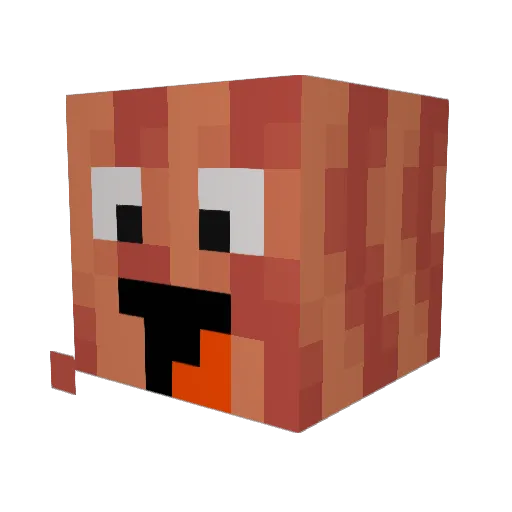 DJsgDude Minecraft avatar head, 3D render