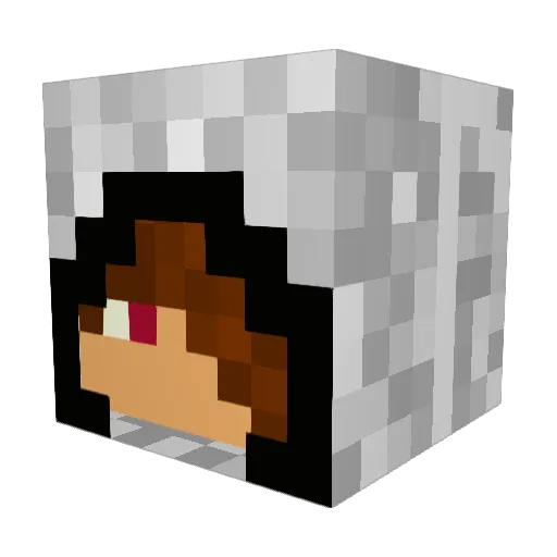 DJswan12345 Minecraft avatar head, 3D render