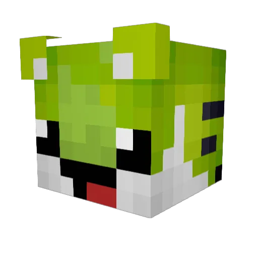 DJtigez Minecraft avatar head, 3D render