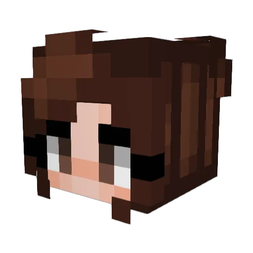 DJvalnert Minecraft avatar head, 3D render