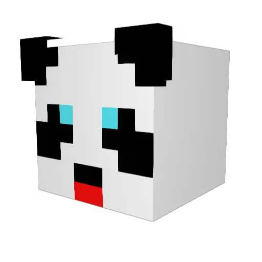 DJvoOLI Minecraft avatar head, 3D render