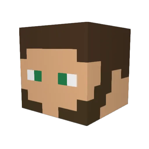 DK502 Minecraft avatar head, 3D render