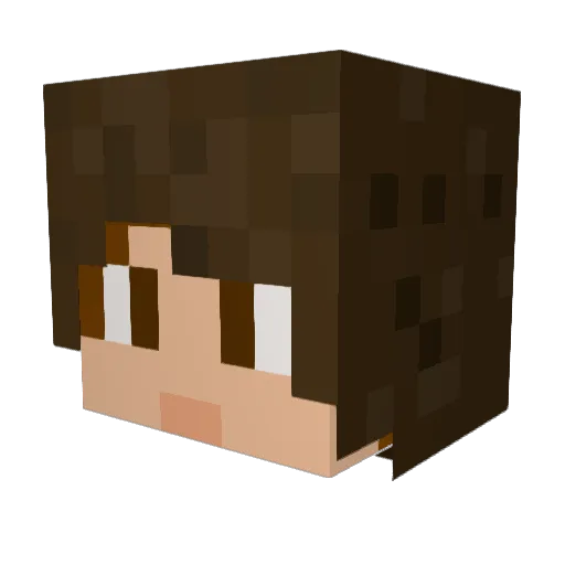 DKCame Minecraft avatar head, 3D render