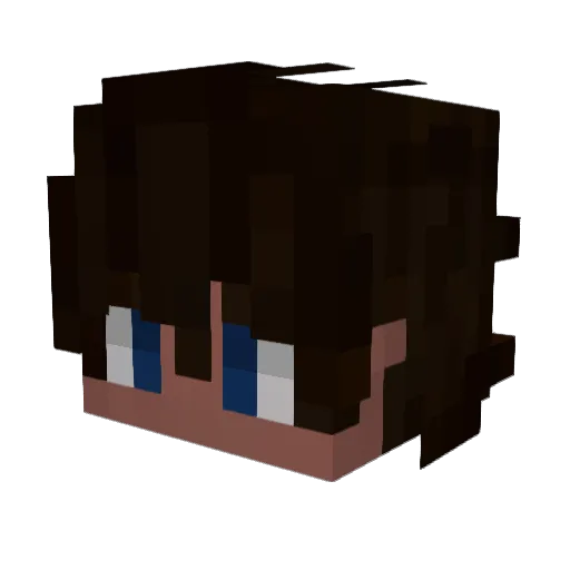 DKDZ Minecraft avatar head, 3D render