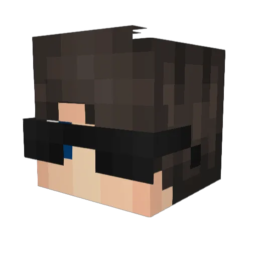 DKG_ Minecraft avatar head, 3D render