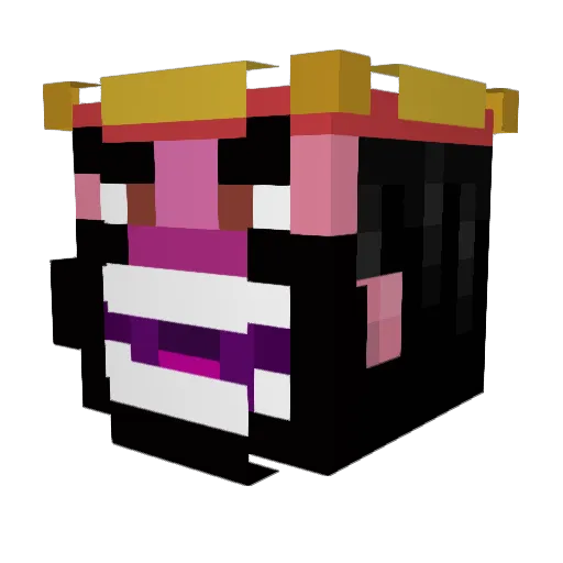 DKGott Minecraft avatar head, 3D render