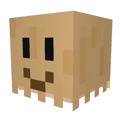 DKGrim1109 Minecraft avatar head, 3D render
