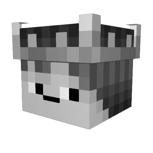 DK_AtHome Minecraft avatar head, 3D render