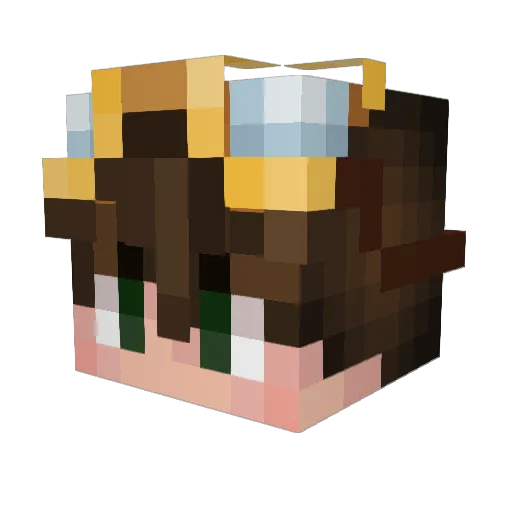 DK_Galaxy Minecraft avatar head, 3D render