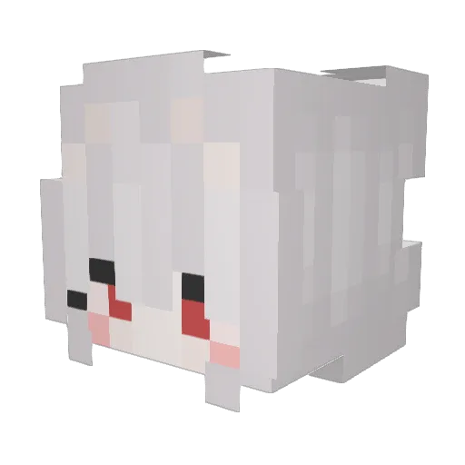 DK_Rynox Minecraft avatar head, 3D render