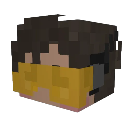 DKall210 Minecraft avatar head, 3D render