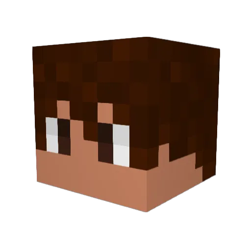 DKptor Minecraft avatar head, 3D render