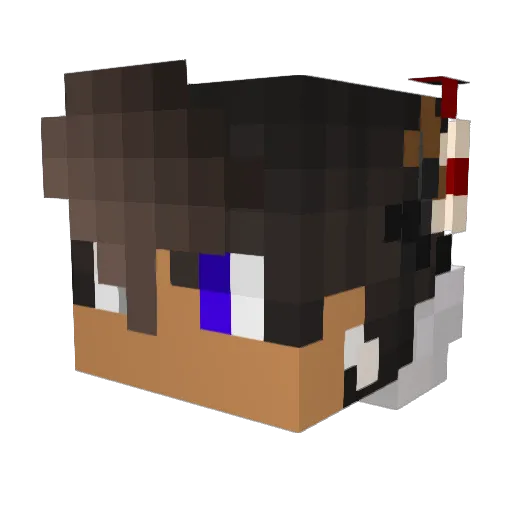 DL10 Minecraft avatar head, 3D render