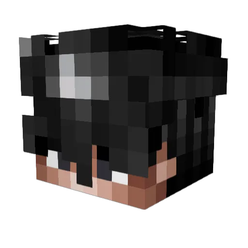 DL4V Minecraft avatar head, 3D render